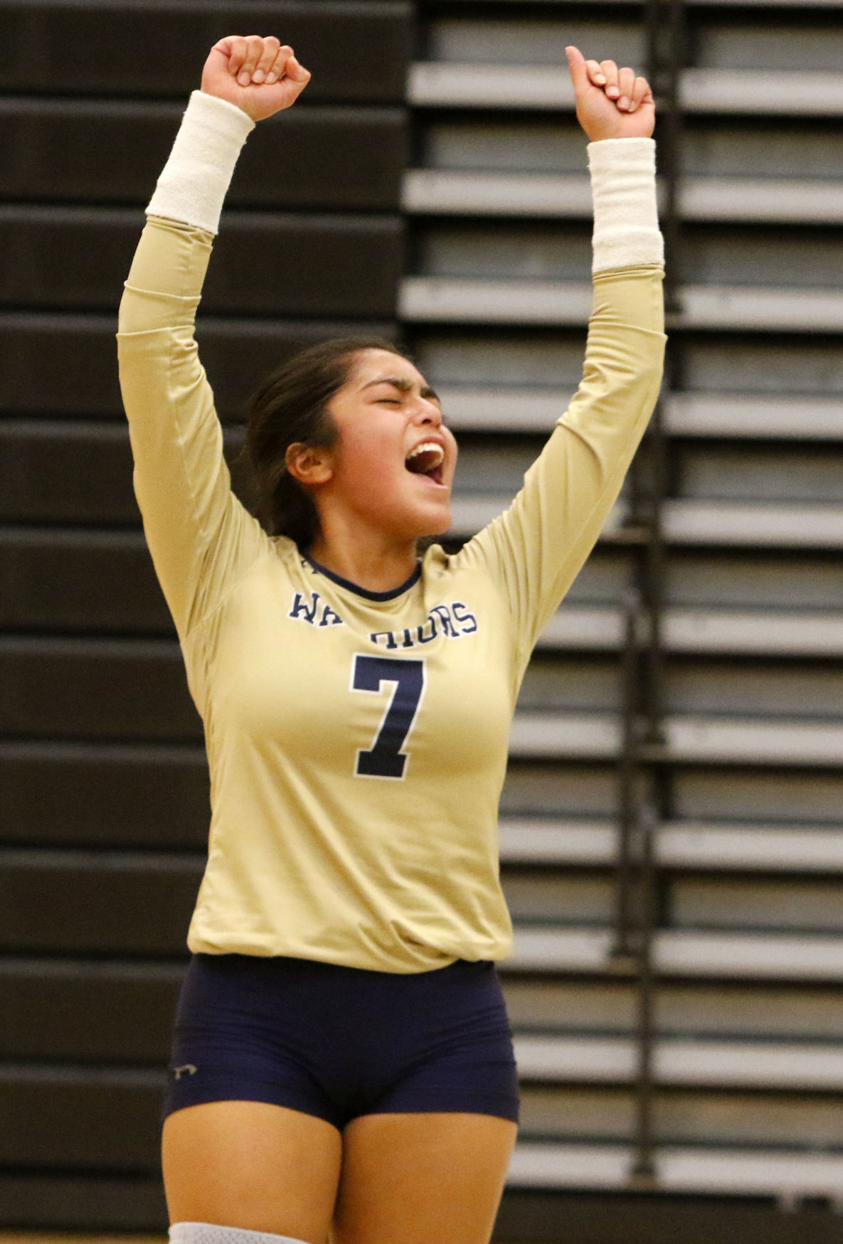 Gallery: Bishop Noll at Illiana Christian volleyball